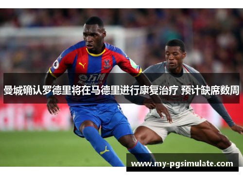 曼城确认罗德里将在马德里进行康复治疗 预计缺席数周